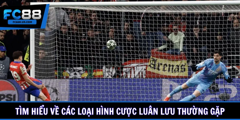 Tìm hiểu về các loại hình cược luân lưu thường gặp